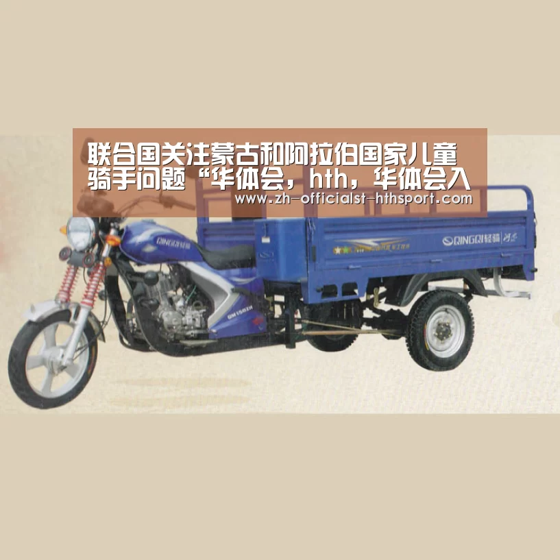 华体会，hth，华体会入口