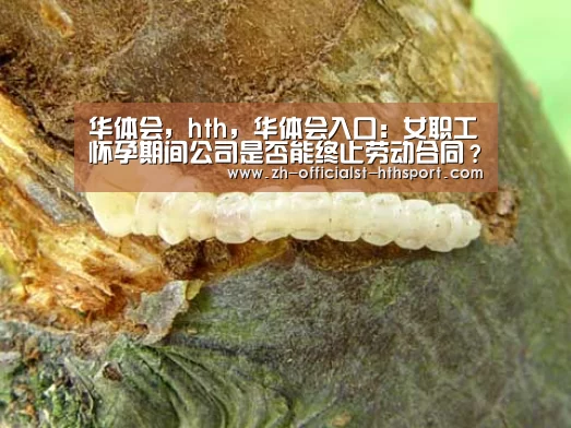 华体会,hth,华体会入口:女职工怀孕期间公司是否能终止劳动合同?(图2) 华体会,hth,华体会入口